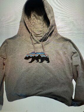 Patagonia Fitzroy Hoodie